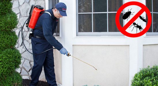 Dilovası Kene İlaçlama böcek ilaçlama ve haşere kontrolü — ilaclama-tr.com